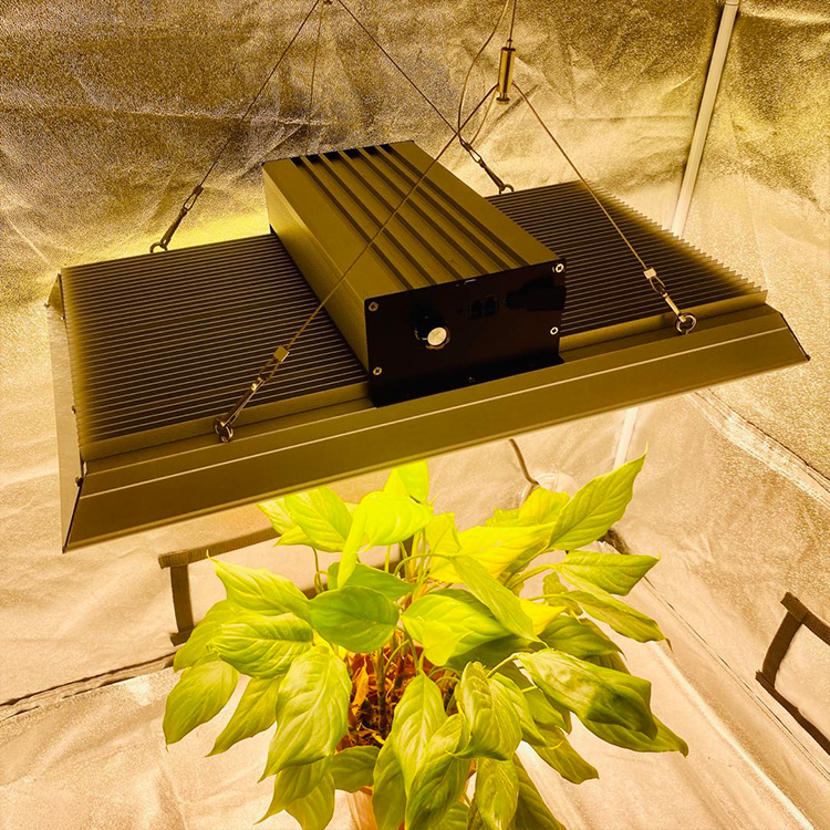 低エネルギーガーデンLED熱帯植物のための光を成長させる